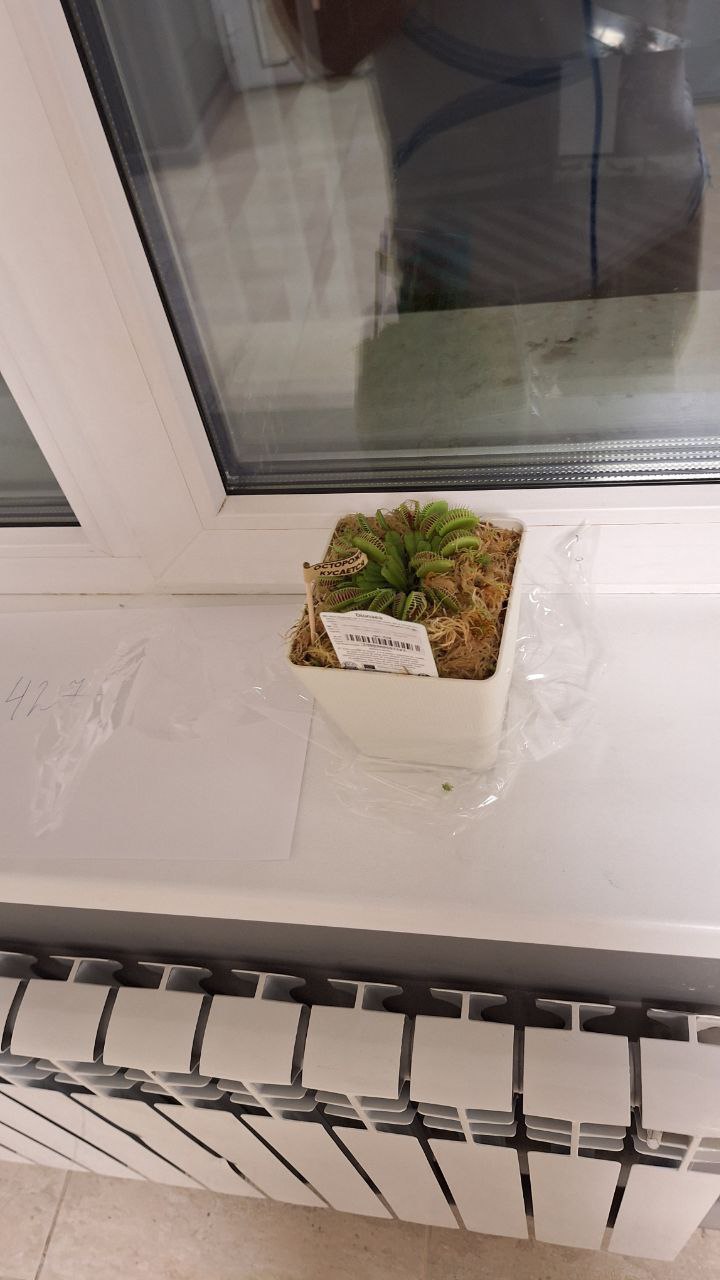 А у меня новый питомец. Знакомьтесь, Олексей! image preview